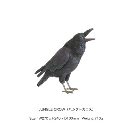 Animal ＰＥＴ ＢＡＮＫ / リアルでキュートなアニマル貯金箱 /（ウサギ）（トラフズク）（カワウソ）（ハシブトカラス）（カワウソ）（カピバラ）