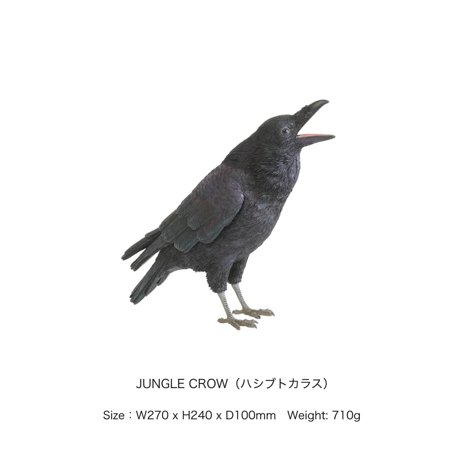 667a535d99e93c0031cf5ec9