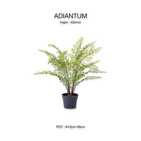 ADIAN TUM INTERIOR artificial GREEN / リアルな質感と存在感のある大きさのフェイクグリーン / アジアンタム