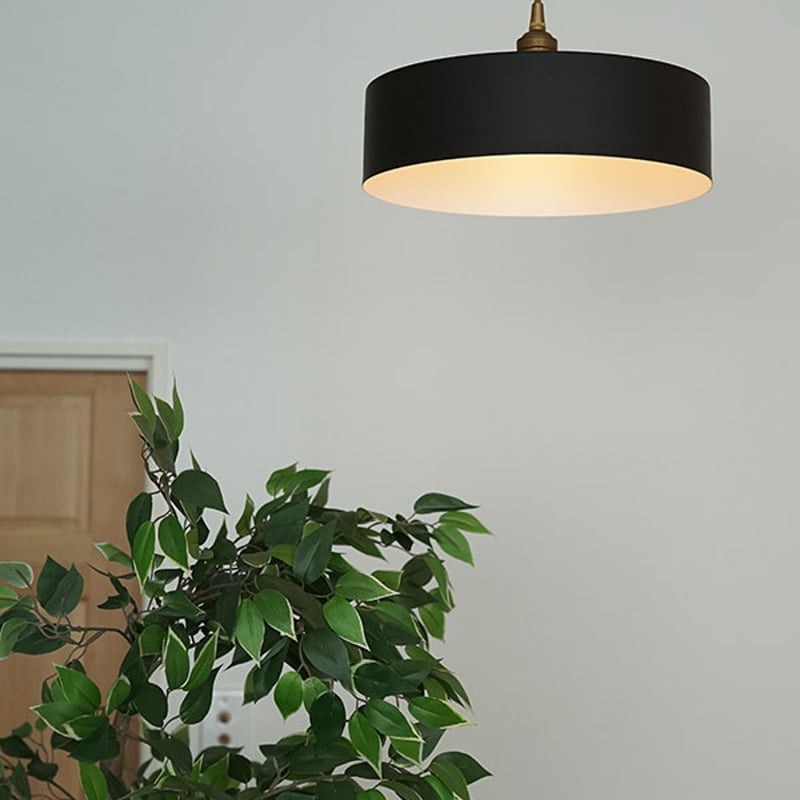 Yen PENDANT LIGHT /ダイニングペンダント / アイアンシェード イエン +