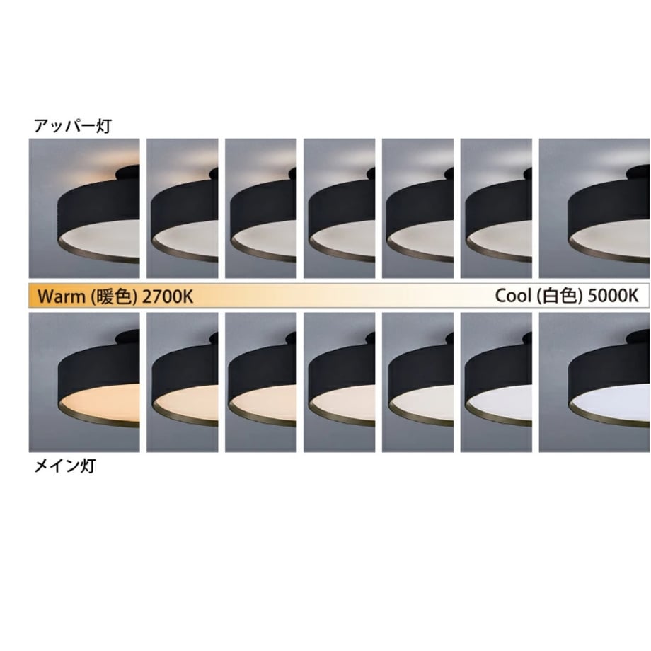 65f1720d712e6e052b1b22db