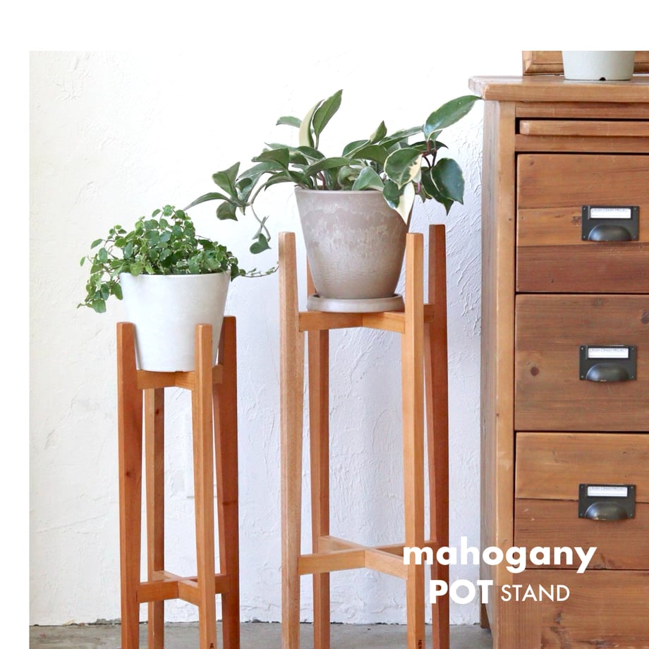 66dfe710ad5ace044c03d0a7