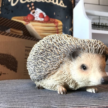 リアル アニマルペットバンク［ magnet / HEDGEHOG ］ハリネズミ