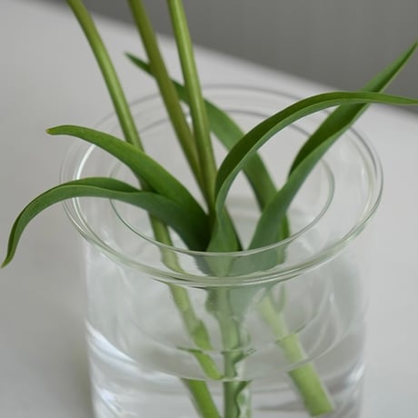 GLASS PLANTER by pino / Clear , Gray , Amber / ガラスベース / フラワーベース / ガラスプランター