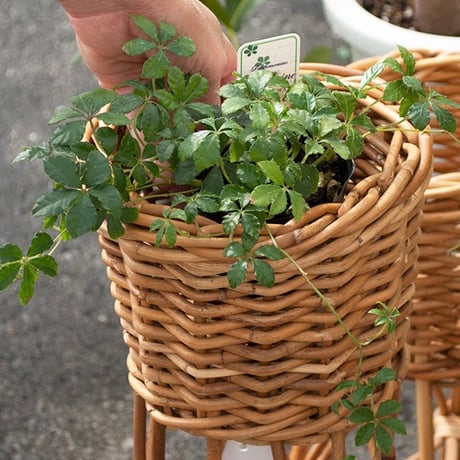 RATTAN LEG STAND PLANTER COVER / 脚付きプランターカバー / 観葉植物 / プランターカバー