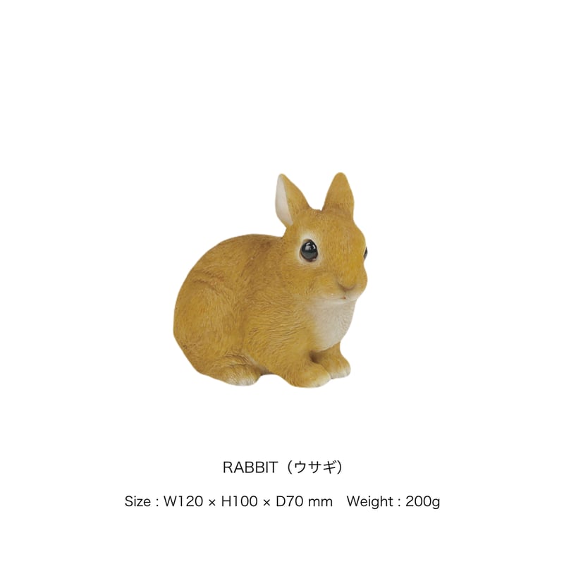 Animal PET BANK / リアルでキュートなアニマル貯金箱