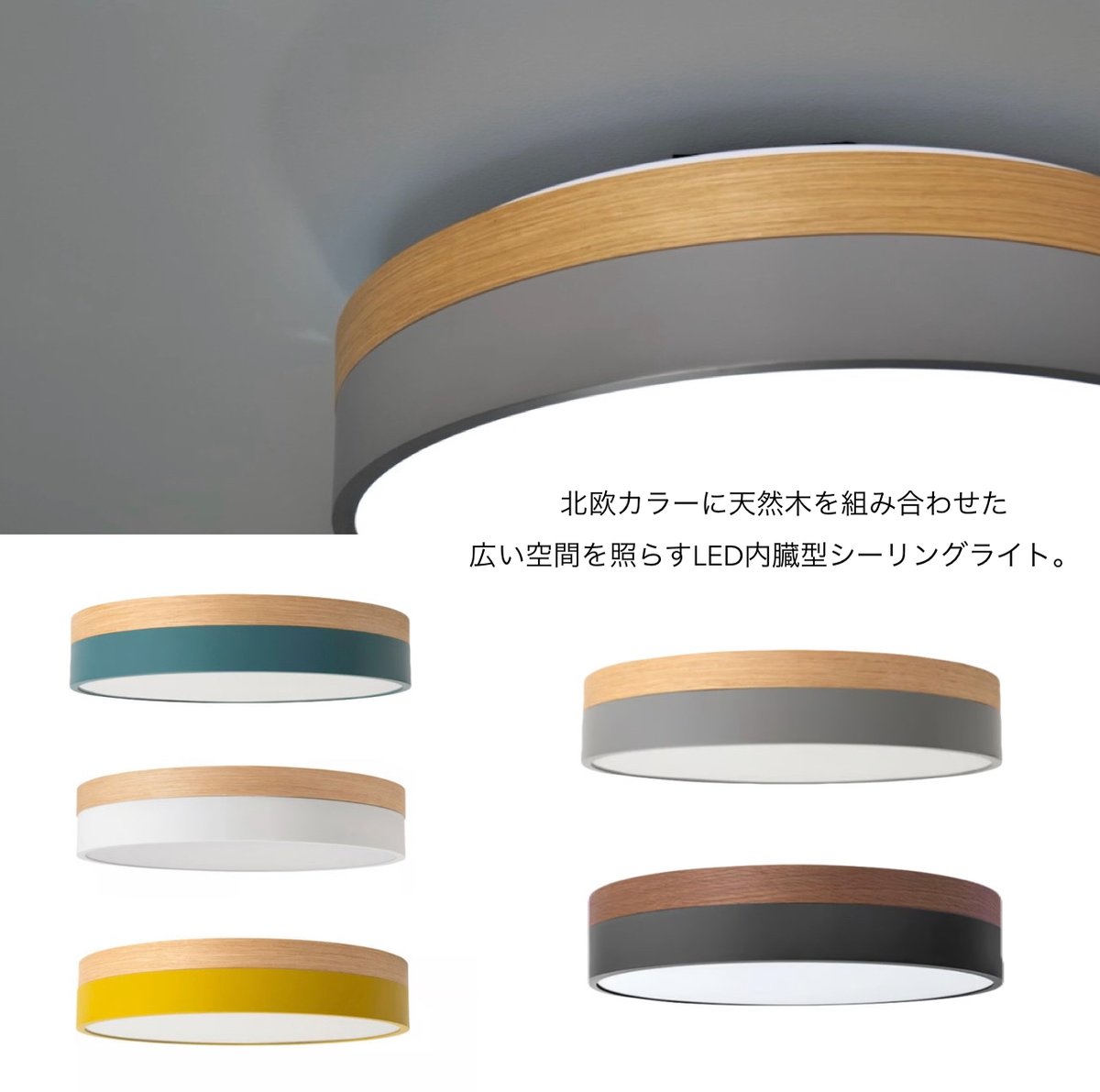 Olika LED CEILING LIGHT Ver.2 / BRID / シーリングライト