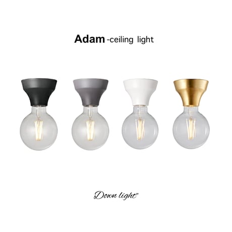 Adam-ceiling light /ARTWORKSTUDIO/シーリングライト / シーリングランプ  /  ダウンライト / E26 60W / 電球別売り LED対応 / AW-0634Z
