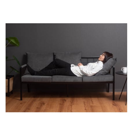 CORDUROY SEAT 3P SOFA / ラフなコーデュロイシートとスタイリッシュなフレームのソファ / BEIGE , GRAY