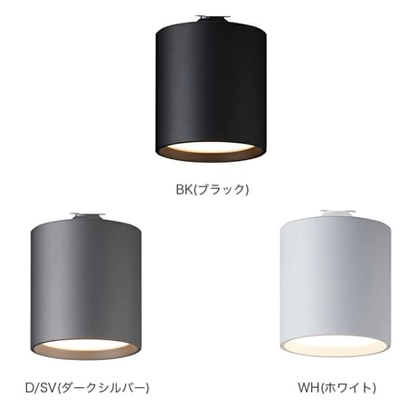 GRID-CEILING DOWN LIGHT / ダウンライト / 取り付け簡単 / ART WORK STUDIO  ※ライティングレール専用モデル