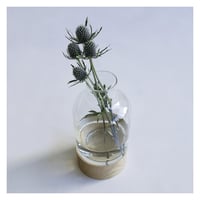 REUSE GLASS + WOOD / フラワーベースボトル / ウッドとリューズガラスの組み合わせでナチュラルなスタイリング / shesay
