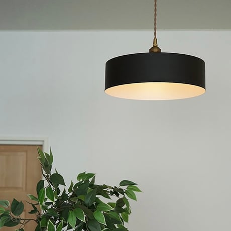 Yen PENDANT LIGHT / E17 60cm / ダイニングペンダント / アイアンシェード  イエン + 真鍮灯具 / シーリングカバー付 / AXCIS  TYPE  A ※電球なし