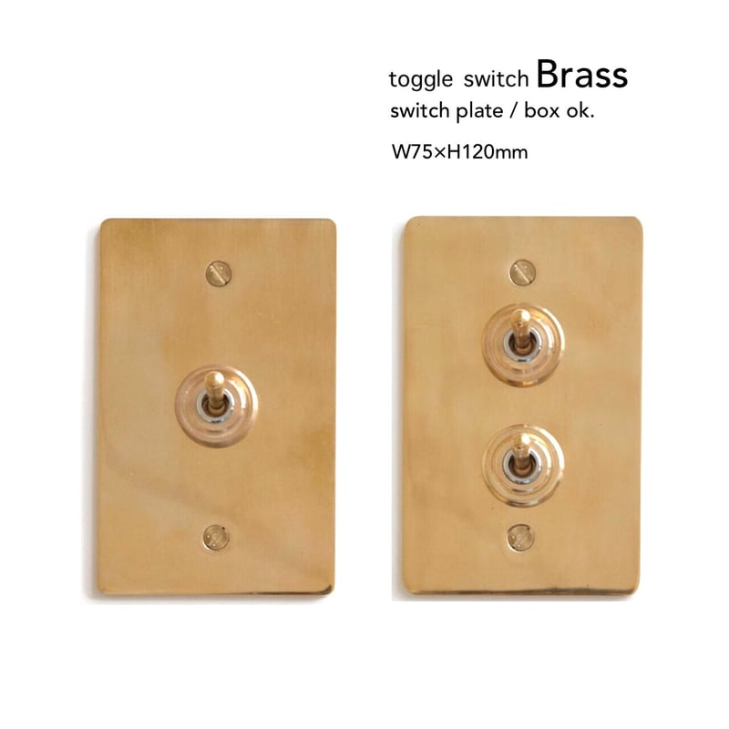 AXCIS 真鍮プレートスイッチ 1 / BRASS SWITCH PLATE / HS233