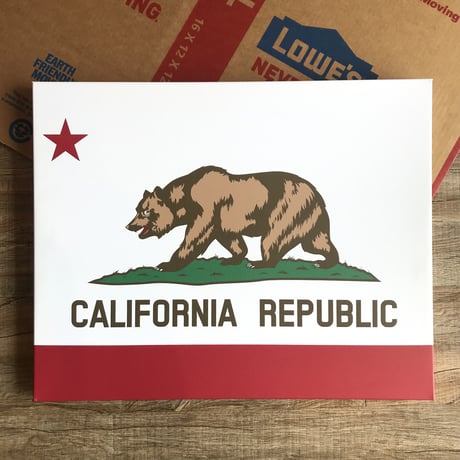 CANVAS ART FLAME / CALIFORNIA FLAG  キャンバスアート カリフォルニア フラッグ  サイズ ▶︎500x400x25mm