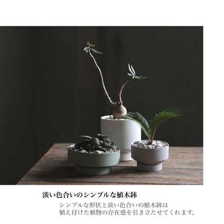 Stef / セラミックのドライな質感と淡い色合いのシンプルな植木鉢 / White , Copper Rose / 観葉植物 プランター / 鉢 / シンプルモダン / ナチュラルインテリア