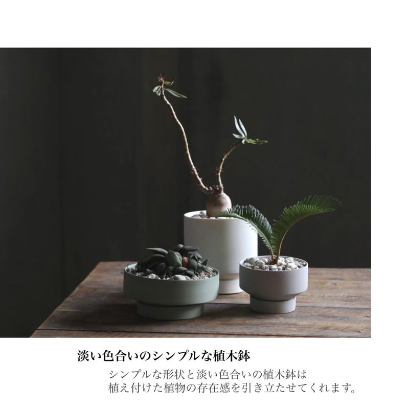 Manon / セラミックのドライな質感と淡い色合いのシンプルな植木鉢