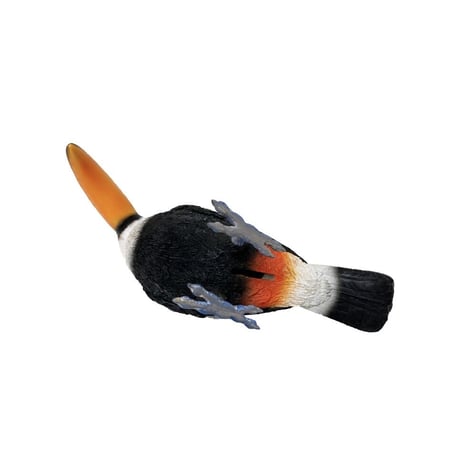 リアル アニマルペットバンク［ magnet / TOUCAN ］