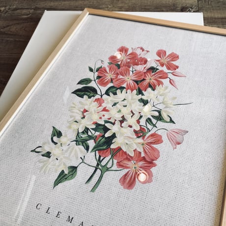ART FRAME / CLEMATIS / フラワーアートフレーム額装付 B3 サイズ made in japan