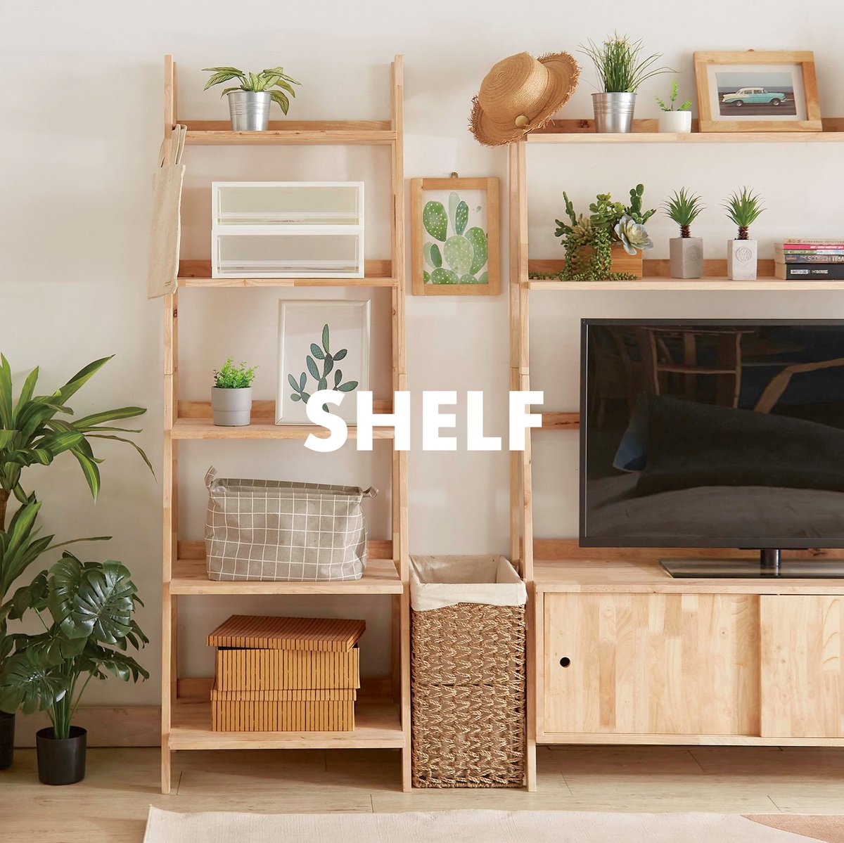 NATURAL WOOD SHELF 600 / シェルフ / ディスプレイラック / 棚