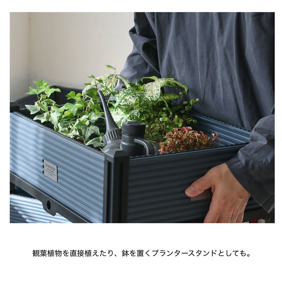 68072b81815270ab706fd77c