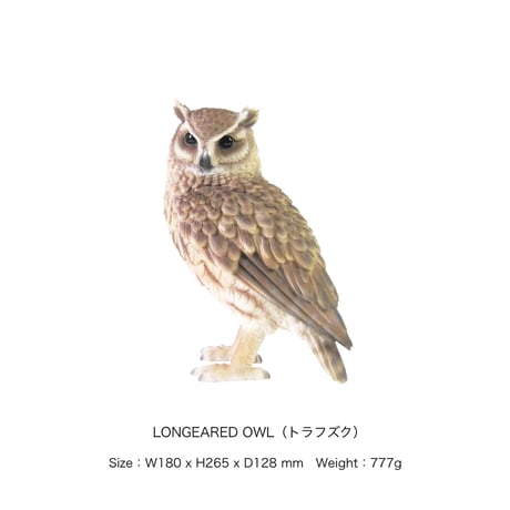 Animal ＰＥＴ ＢＡＮＫ / リアルでキュートなアニマル貯金箱 /（ウサギ）（トラフズク）（カワウソ）（ハシブトカラス）（カワウソ）（カピバラ）