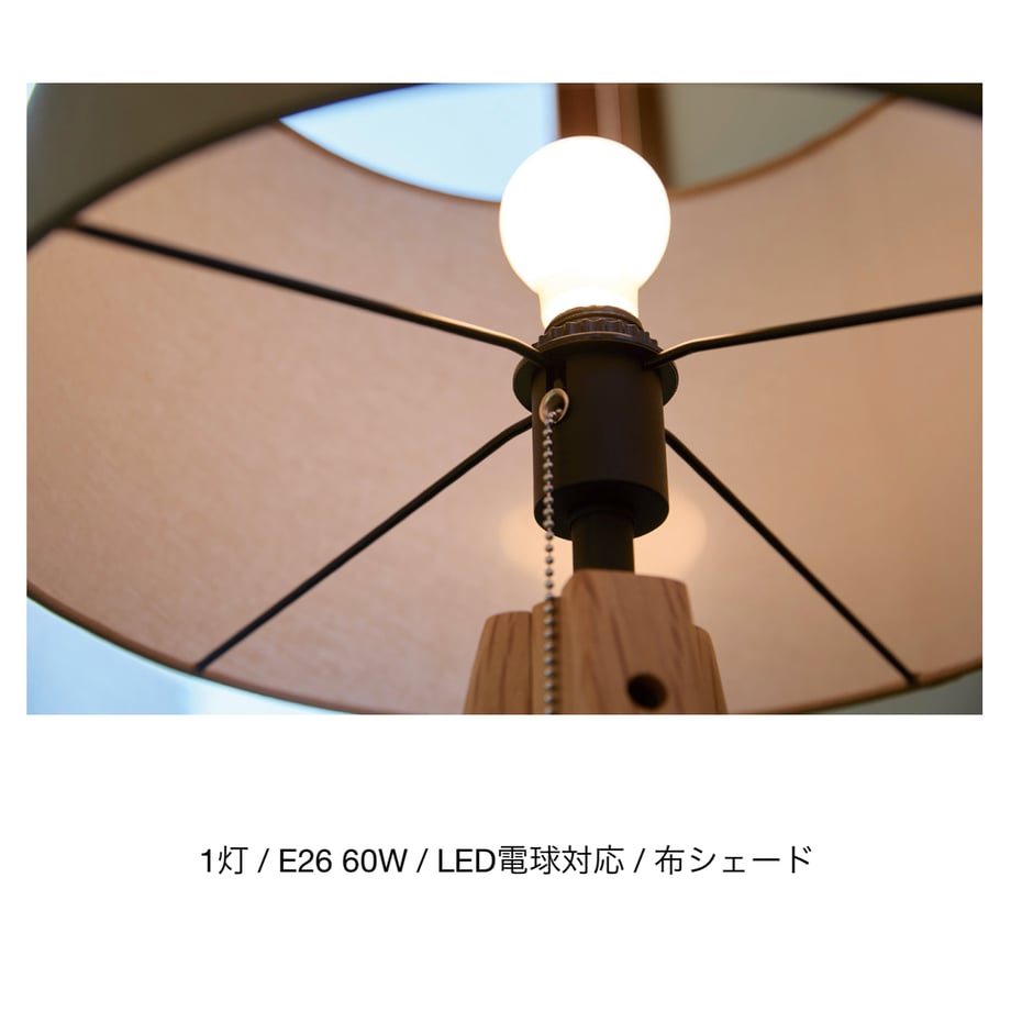 67c42afbb363bc5c34e98696