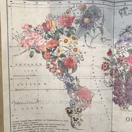 WALL BOOK ART flowers  / 装飾 インテリア / ウォールデコ / ART FRAME