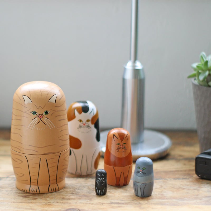 cat 