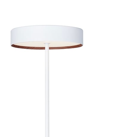 Glow LED - floor lamp / グロー LEDフロアランプ / 1灯  / 調光 調色 / フロアランプ / ルームランプ / LED内臓 / リモコン付属