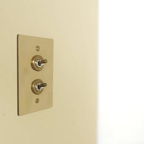 AXCIS 真鍮プレートスイッチ 2 / BRASS SWITCH PLATE / HS2336