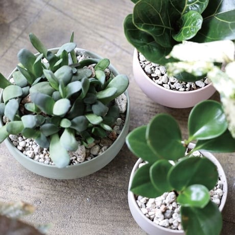 Stef / セラミックのドライな質感と淡い色合いのシンプルな植木鉢 / White , Copper Rose / 観葉植物 プランター / 鉢 / シンプルモダン / ナチュラルインテリア