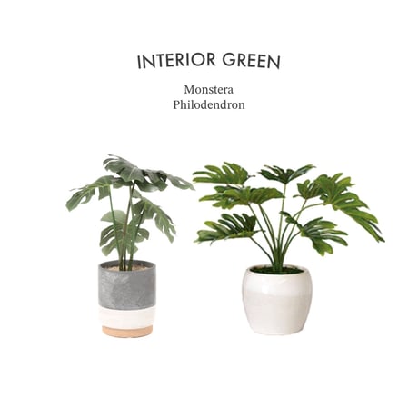 PHOTO CATALYTIC GREEN / お世話のいらない空気を綺麗にしてくれる観葉植物  / フィロデンドロン / Philodendron インテリアグリーン / 光触媒