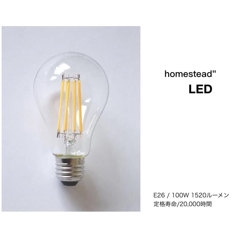 真鍮ペンダント▷ブラス灯具（コード長 60cm）+ LED電球 （一般型LED