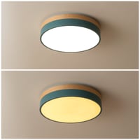 Olika LED CEILING LIGHT Ver.2 / BRID / シーリングライト/ 天井照明 / リビング ダイニング照明 / 北欧ナチュラル