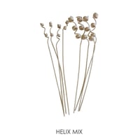 HELIX MIX / ディフューザーを個性的に彩るリードスティック / REED HELIX STICK