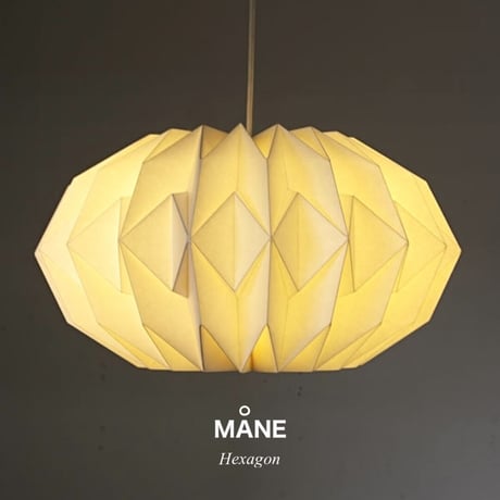 MANE PENDANT / ペンダントライト3灯  / ヘキサゴン  / 電球なし  LED電球専用ランプ