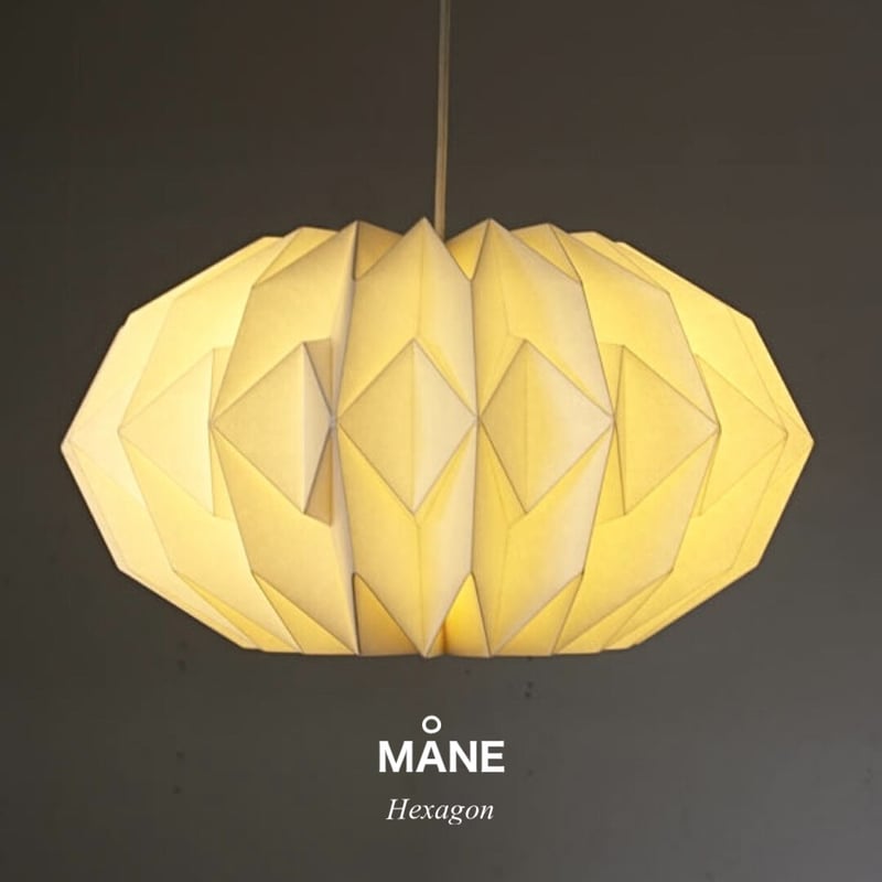 MANE ペンダントライト　AXCIS AXCIS MANE PENDANT / ペンダントライト3灯 / ヘキサゴン / 電球な