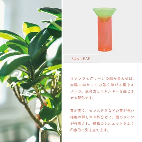 GRASS STORAGE 'N' VASE "NEON / 日常に差し込む蛍光カラーの組み合わせによるインパクトのあるデザインで空間の主役となるガラスベース