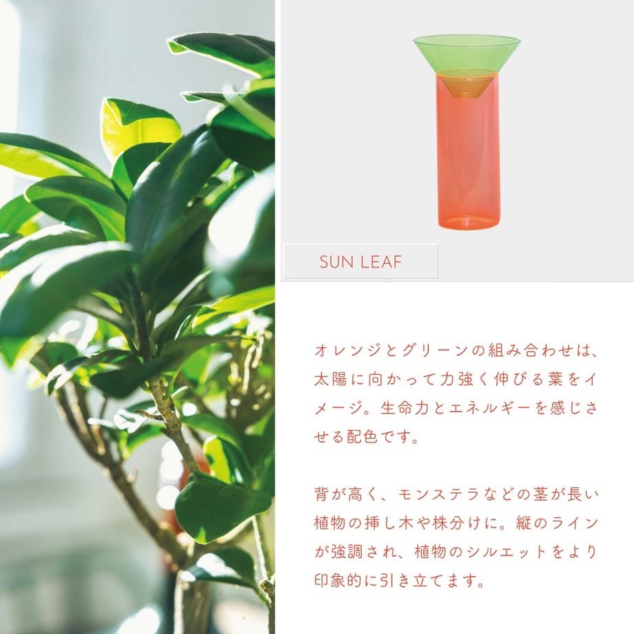 69ef2ff952cef90043b40237