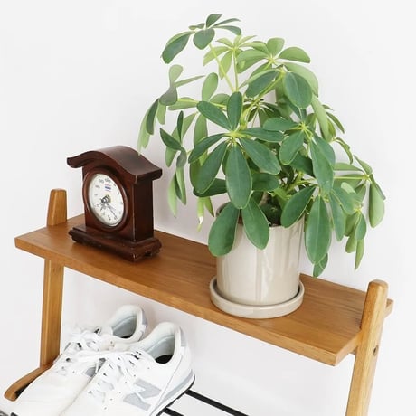 OAK × STEEL SHOES RACK / シンプルでモダンなマルチラック / シューズラック / 観葉植物