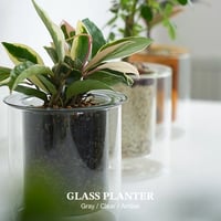 GLASS PLANTER by pino / Clear , Gray , Amber / ガラスベース / フラワーベース / ガラスプランター