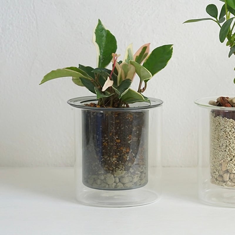 GLASS PLANTER by pino / Clear , Gray , Amber /