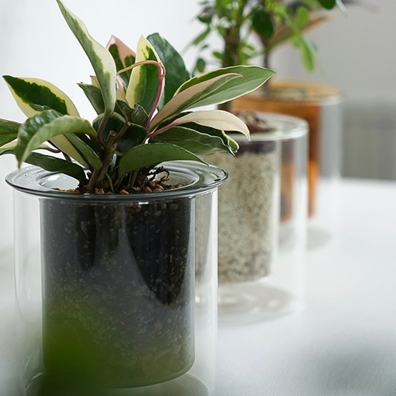 GLASS PLANTER by pino / Clear , Gray , Amber /