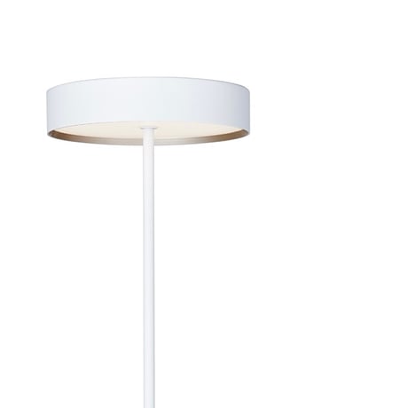 Glow LED - floor lamp / グロー LEDフロアランプ / 1灯  / 調光 調色 / フロアランプ / ルームランプ / LED内臓 / リモコン付属