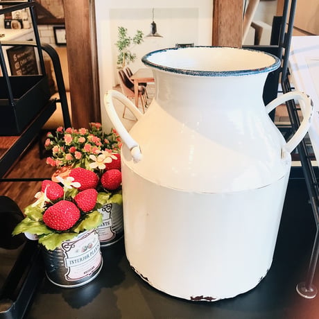 IRON MILK POT / ドライ&フラワーベース / WH