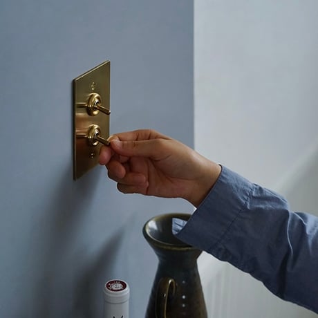 AXCIS 真鍮プレートスイッチ 2 / BRASS SWITCH PLATE / HS2336