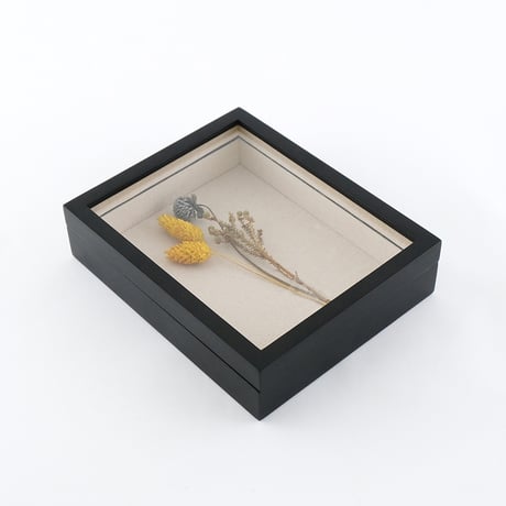 COLLECTION BOX / 大切な物を見せておしゃれにディスプレイできるコレクションボックス / アクセサリー収納