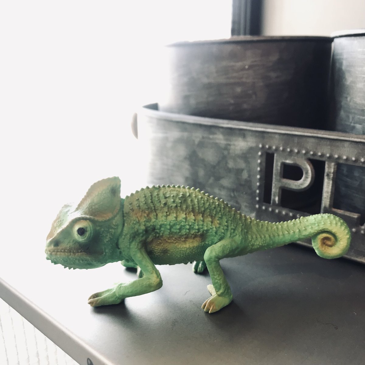 REPTILES MAG VEILED CHAMELEON BABY ▷ リアルな生きもの造形