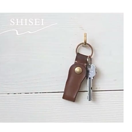 ＢＲＡＳＳ プッシュピン / Ｌフック / 1箱 5ピン入り / 真鍮 差し込み部分：スチール（stainless steel SUS201）