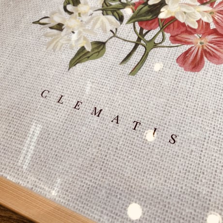 ART FRAME / CLEMATIS / フラワーアートフレーム額装付 B3 サイズ made in japan